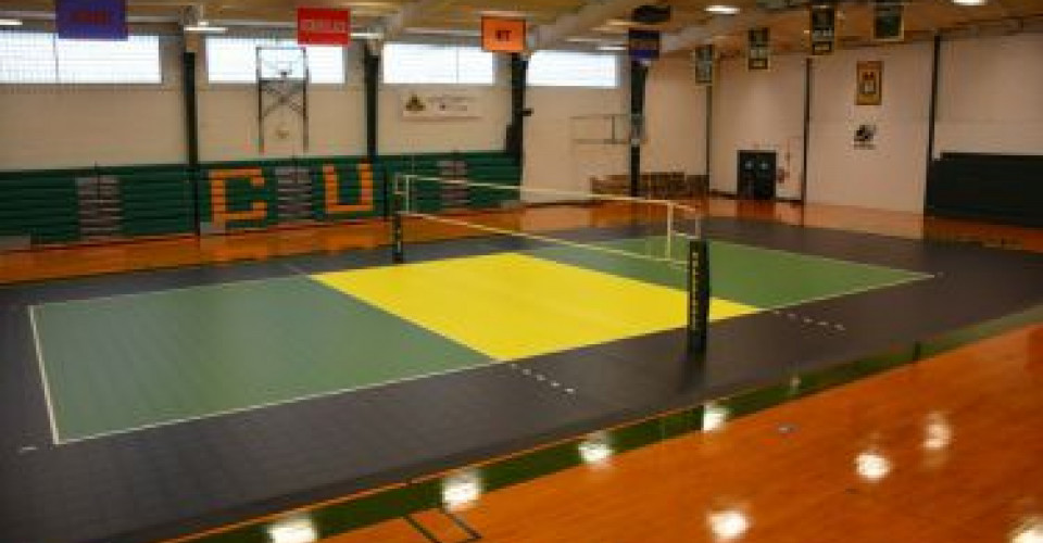 Clarkson Volleyball Court