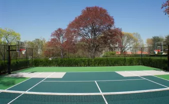 Home Court