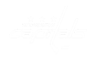 Capitals gray logo