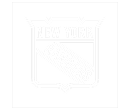 New York Rangers gray logo