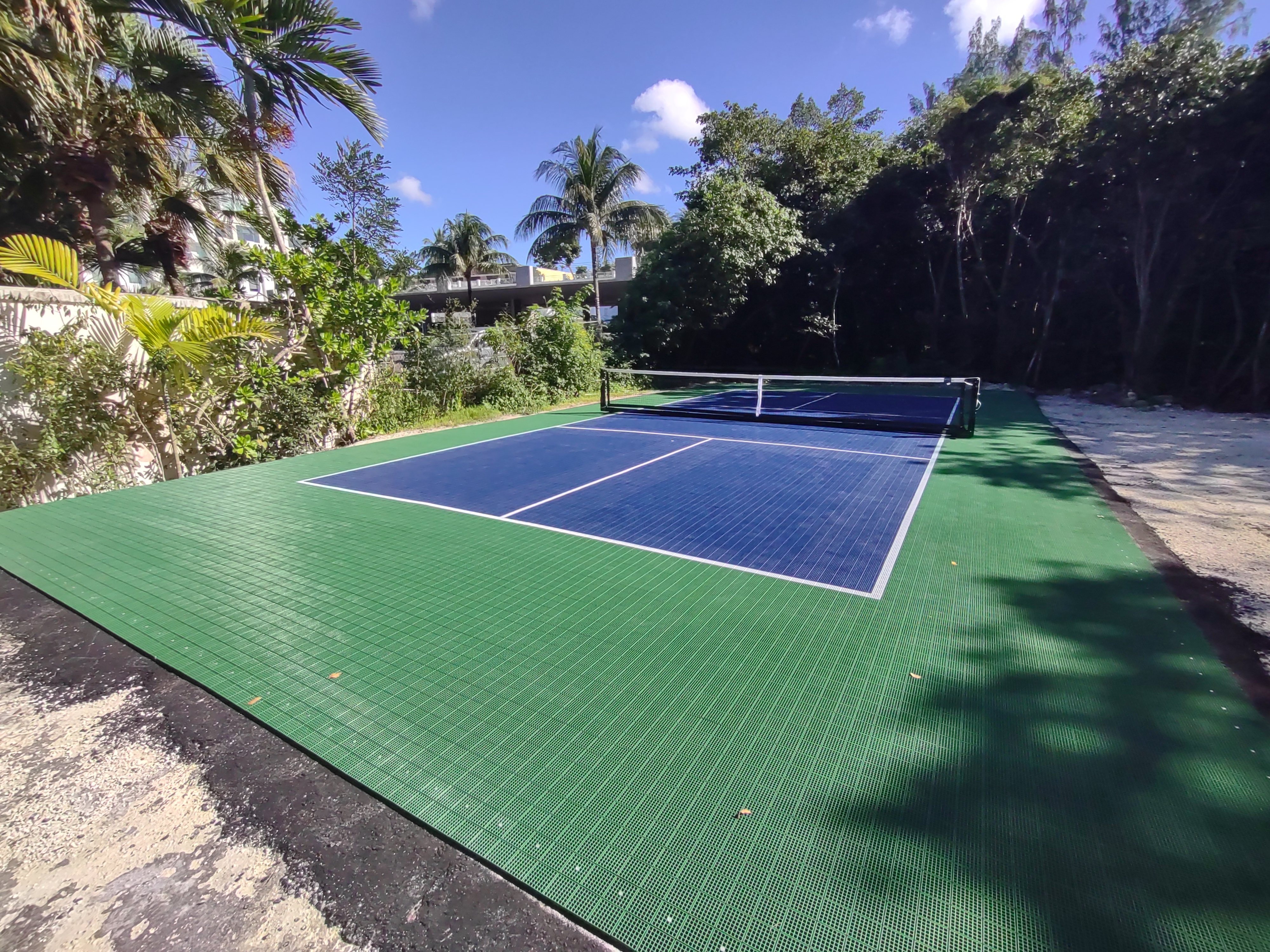 60' x 30' Outdoor DIY Residential Pickleball Court in Backyard - Navy Blue and Sport Green