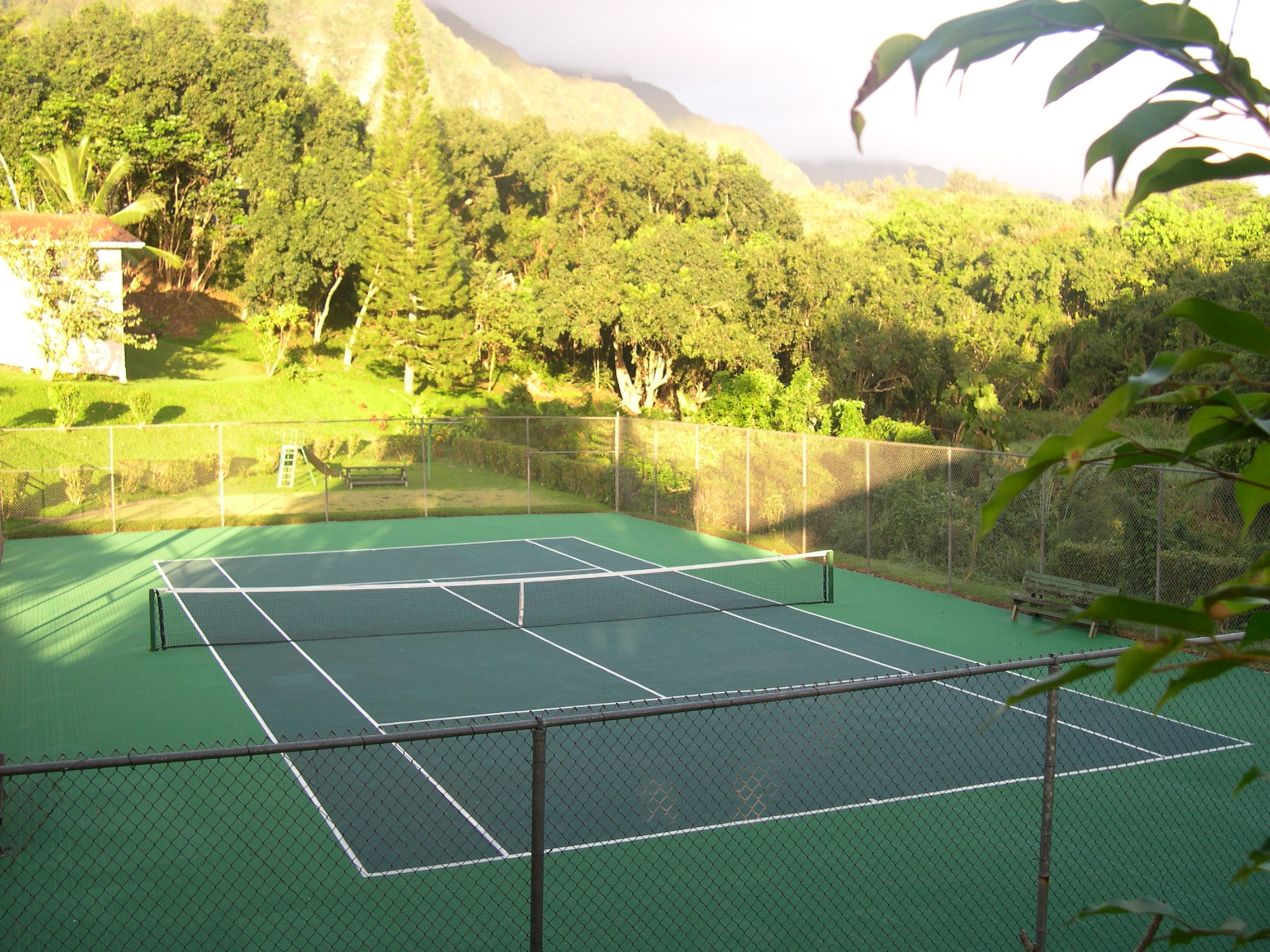 120' x 60' Residential DIY Backyard Tennis Court Surface - Sport Green and Forest Green