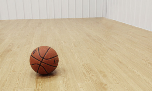 plankbasketball 1 1