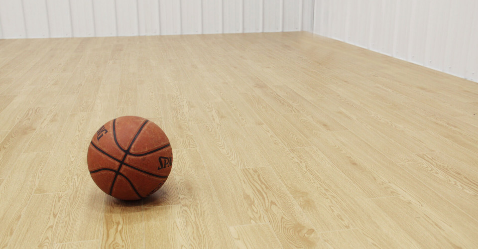 plankbasketball 1 1